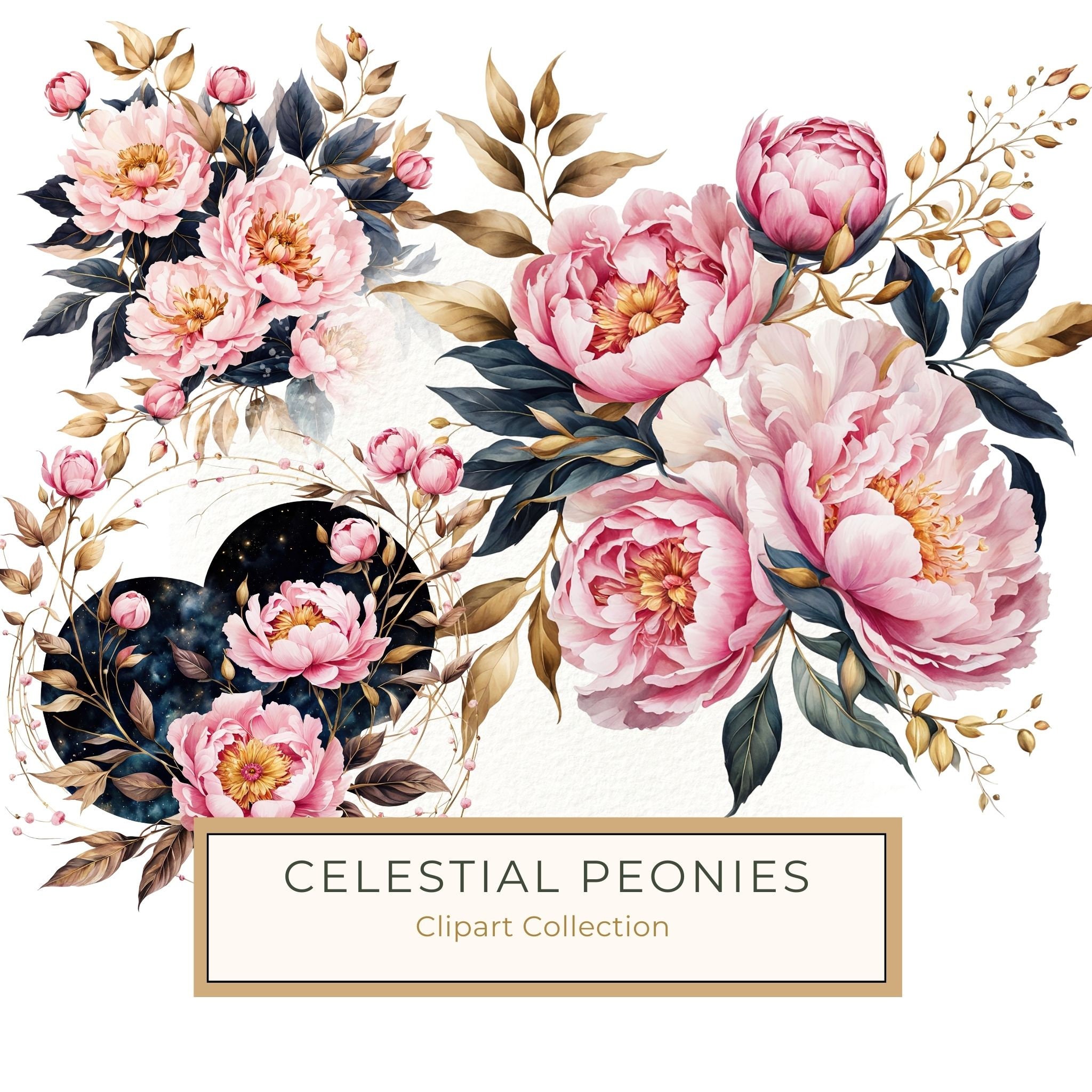 Watercolor Peony Clipart: Celestial Navy & Gold Florals (PNG JPG)