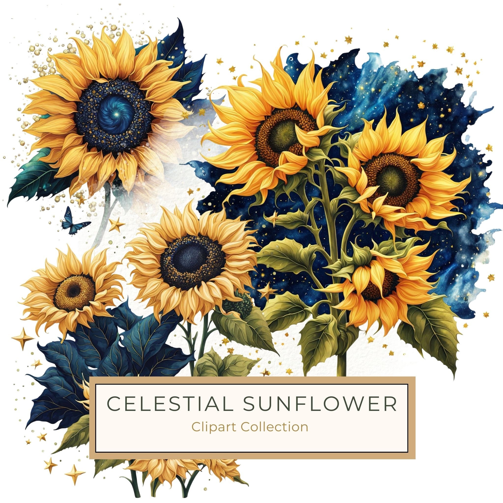 Watercolor Sunflower Clipart: Navy Nebula Background, Gold Accents (PNG JPG Digital Print)