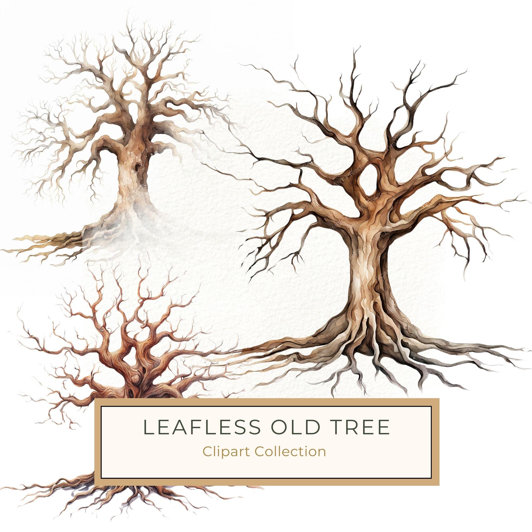 Mystical Leafless Tree Clipart: Ancestry Tree Digital Art (JPG, PNG)