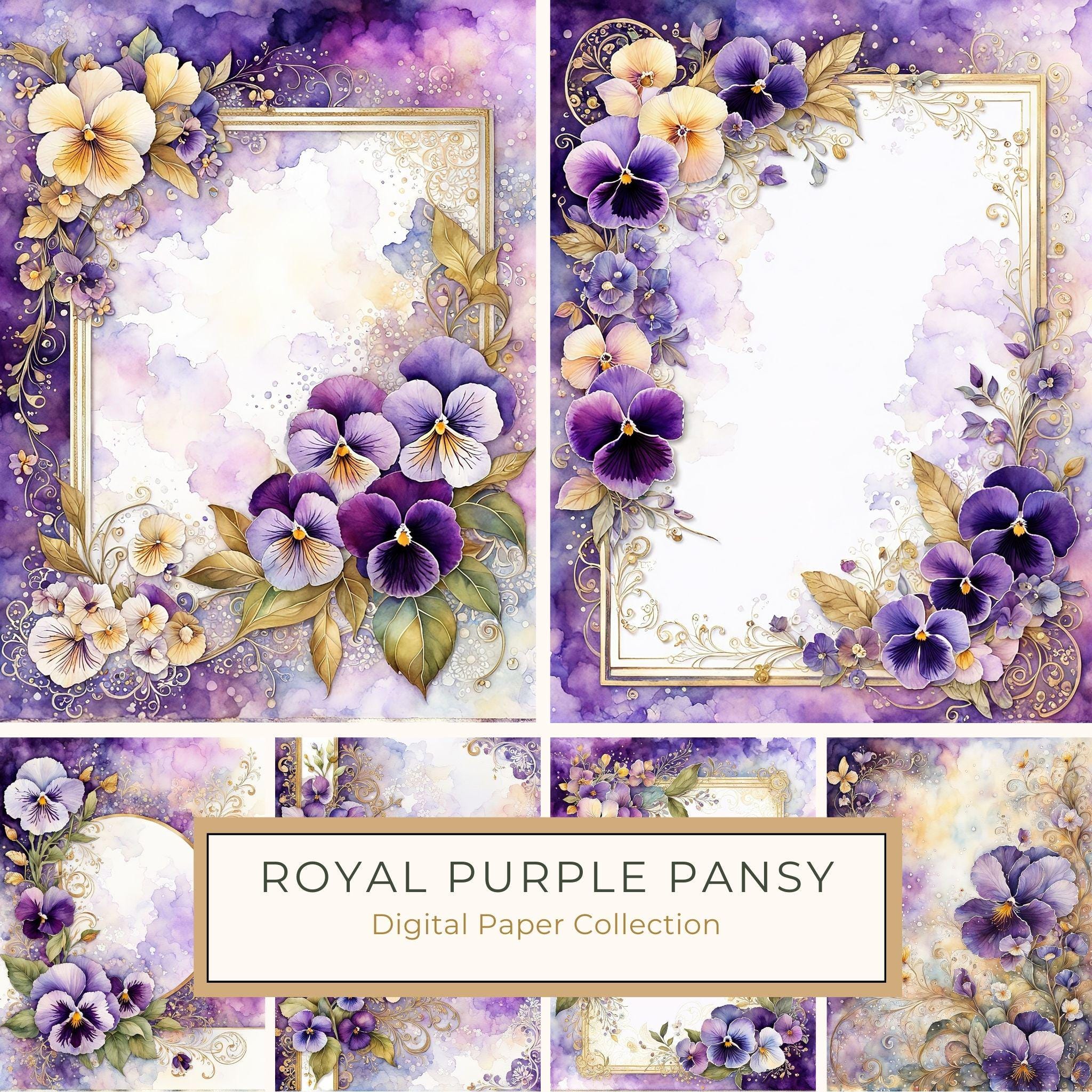 Watercolor Pansy Frame Digital Paper: Shabby Chic Floral (JPG)