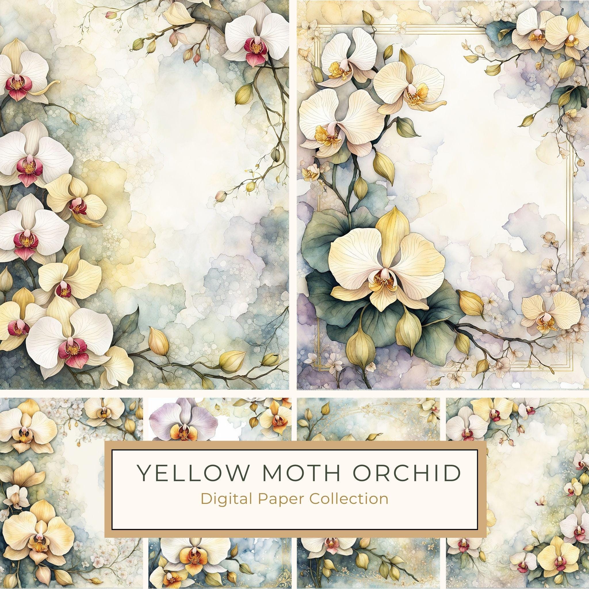 Watercolor Orchid Frame: Cream Floral Border Backgrounds (JPG Digital Paper)