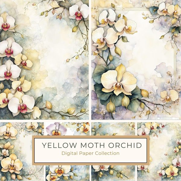 Watercolor Orchid Frame: Cream Floral Border Backgrounds (JPG Digital Paper)