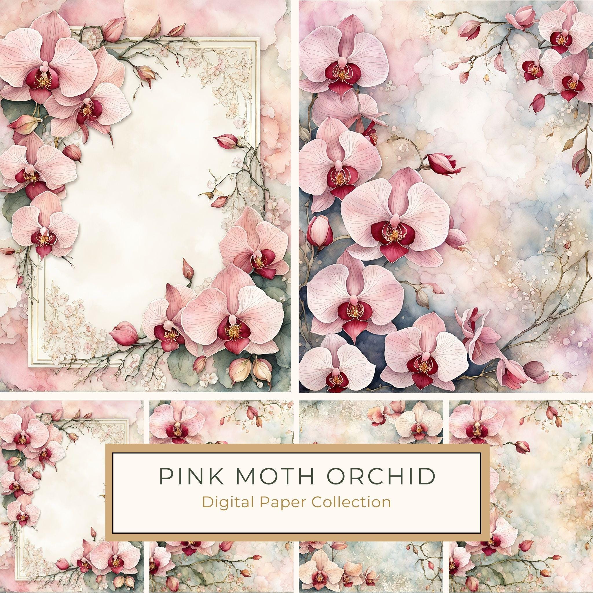Watercolor Orchid Frame: Blush Pink Floral Backgrounds (10 JPG) (Digital Download)