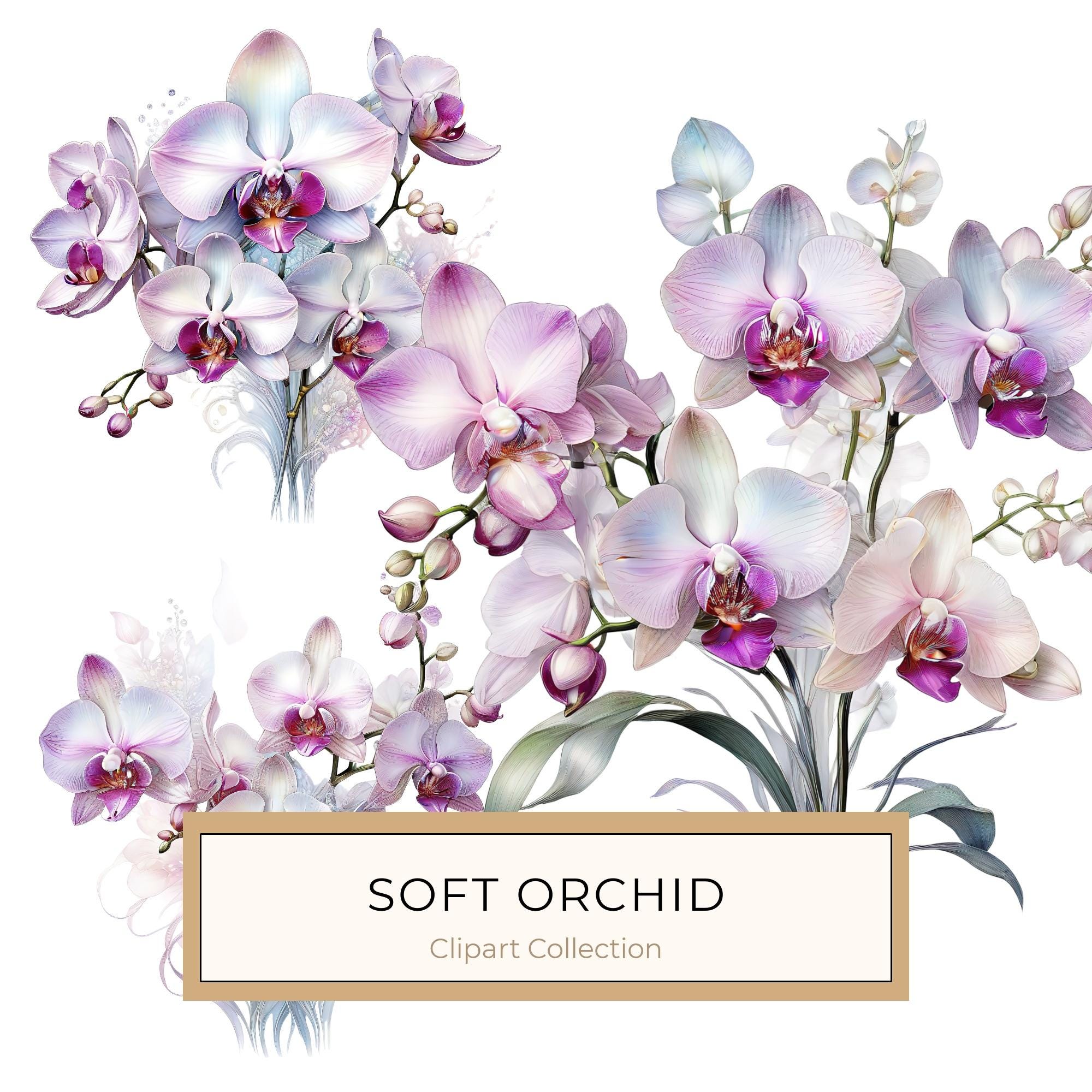 Watercolor Orchid Clipart: Purple & White Floral PNG JPG (Digital Download)