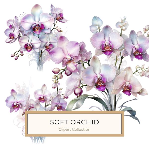 Watercolor Orchid Clipart: Purple & White Floral PNG JPG (Digital Download)