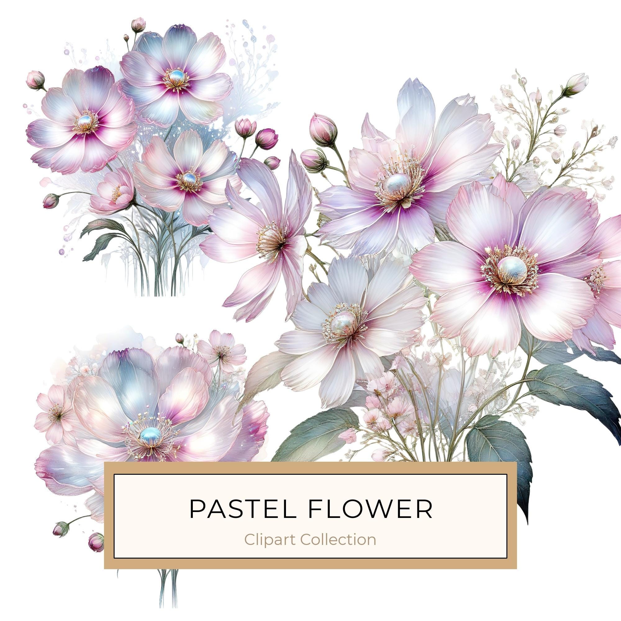Pastel Watercolor Floral Set: Cosmos Flower Clipart (JPG & PNG)