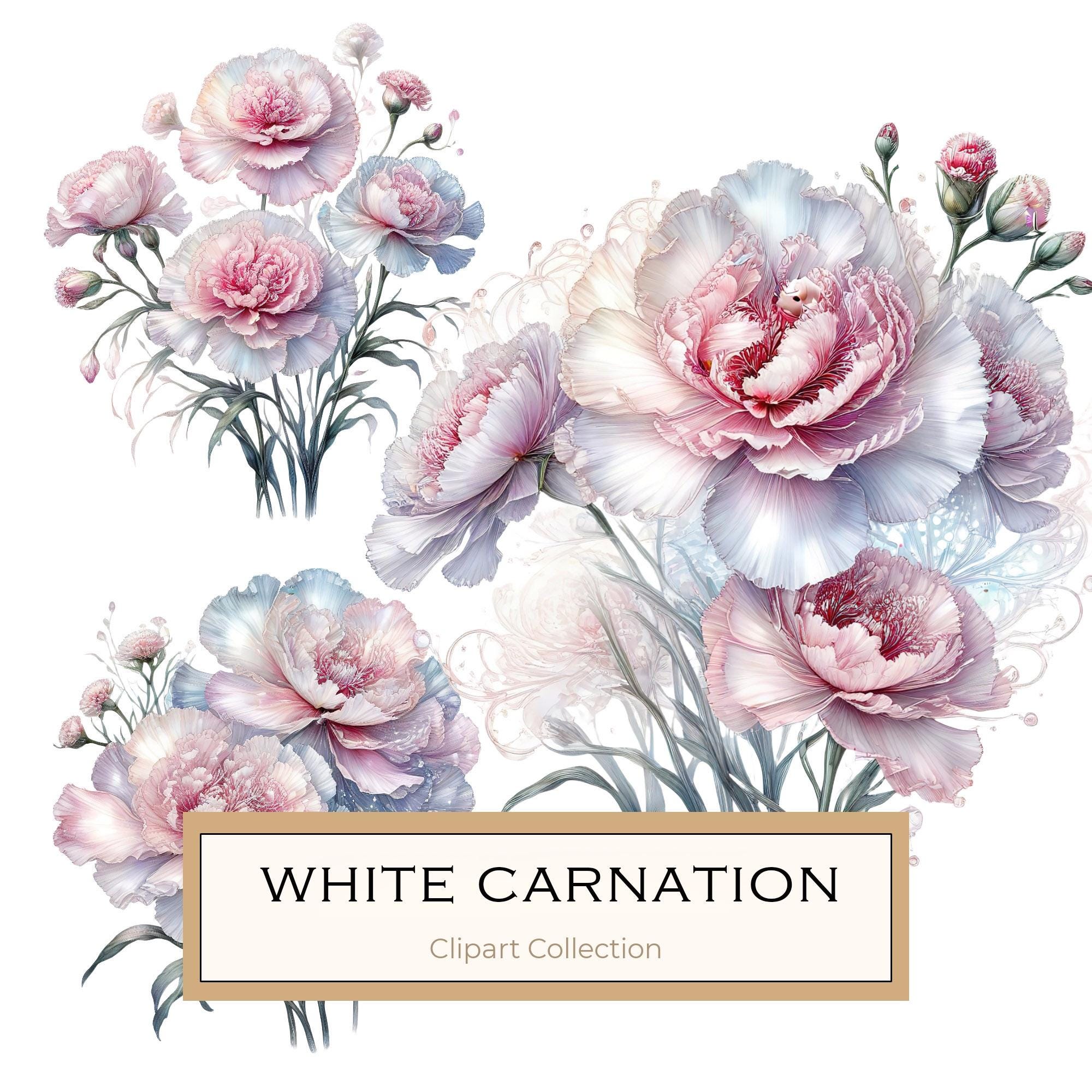 Watercolor Carnation Clipart: Iridescent Pastel Floral PNG JPG Set (Commercial Use)