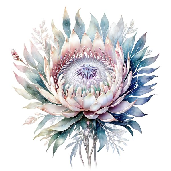 Watercolor Protea Clipart Set: Soft Pastel Floral PNG JPGs (Digital Download) — image 2