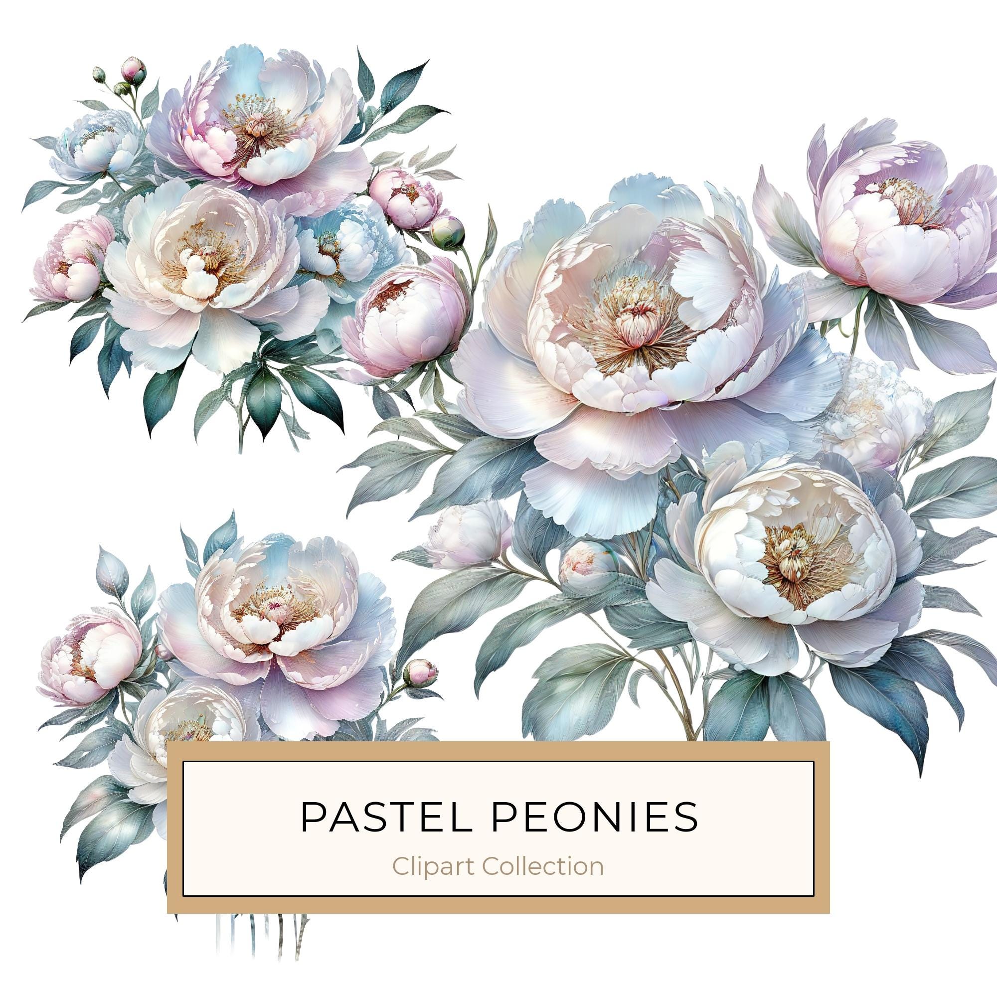 Watercolor Peony Digital Paper: Pastel Floral Scrapbook PNG JPG (Commercial Use)
