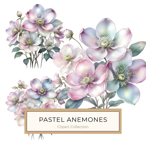 Watercolor Anemone Flower Digital Paper: Pastel Floral Clipart (PNG JPG)