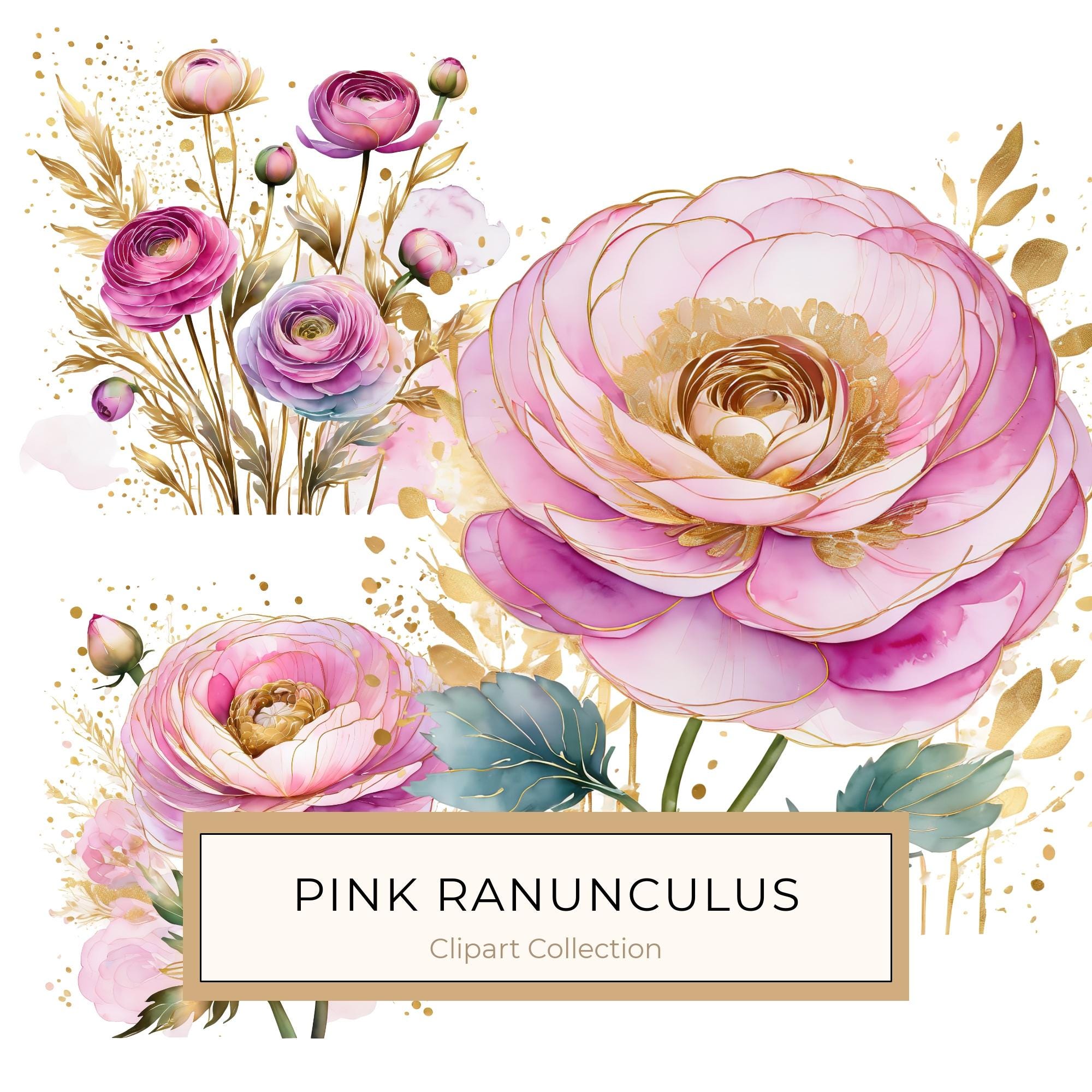 Watercolor Ranunculus Flowers with Delicate Gold Accents Digital Paper Set in Soft Pink & Cream Hues, 10 JPGs, Perfect for Scrapbooking, B