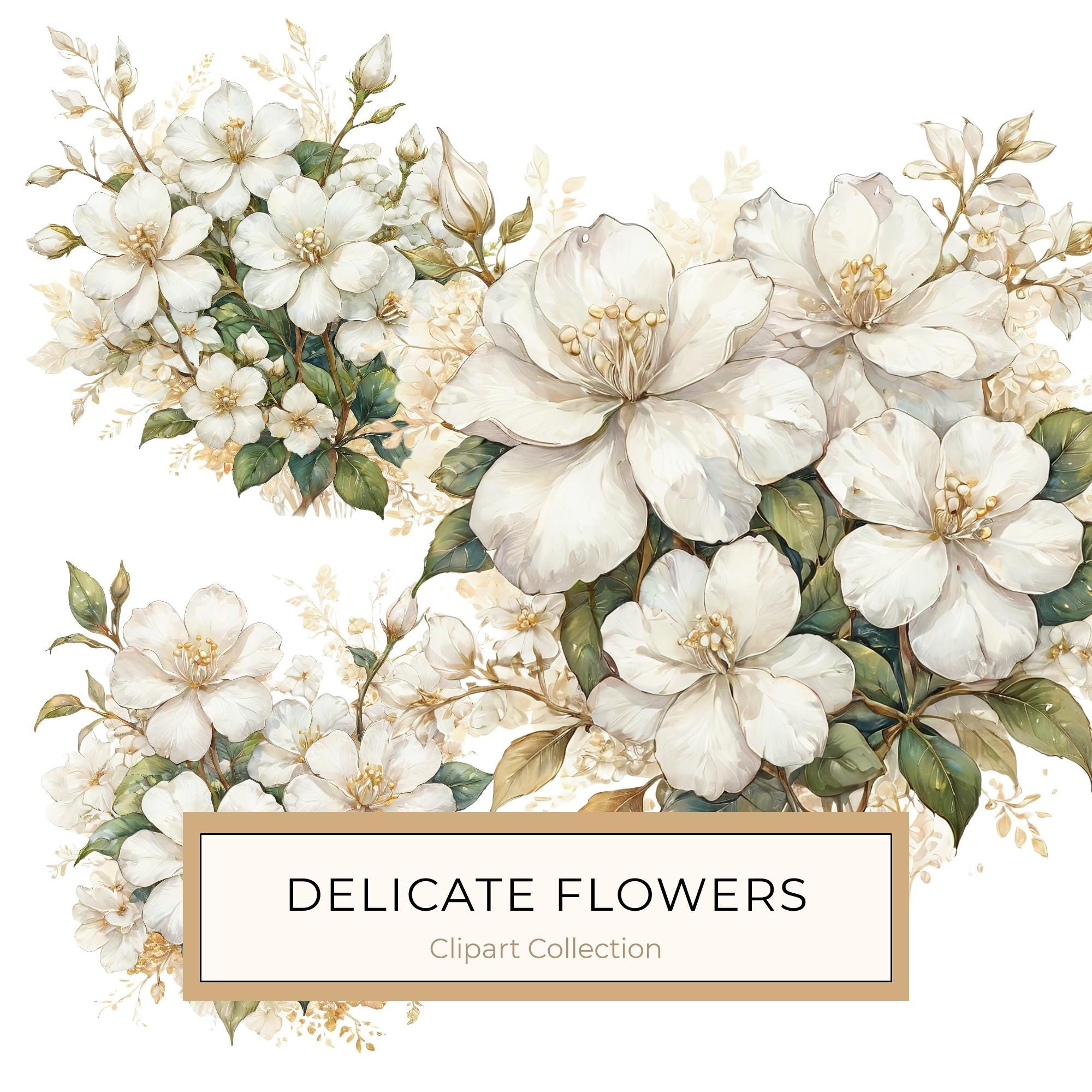 Watercolor White Floral Clipart: Gold Accents, Cream & Green (JPG PNG)