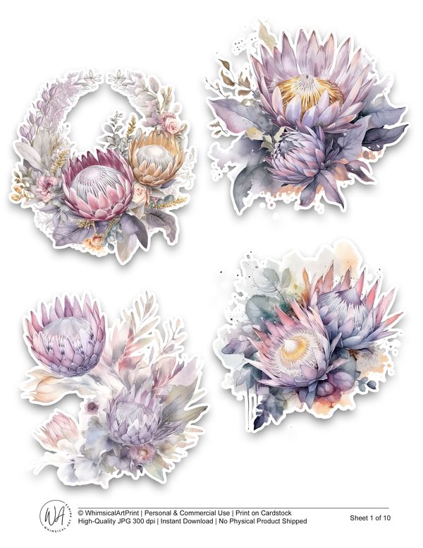 Watercolor Protea Ephemera Kit: Junk Journaling, Scrapbooking (Commercial Use, Digital Download) — image 2
