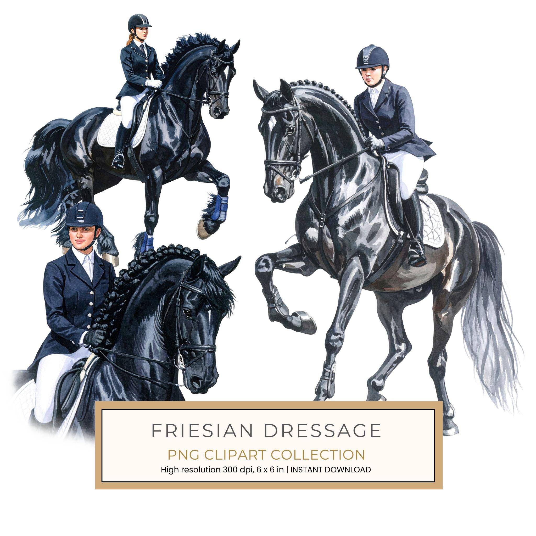 11 Watercolor Dressage Clipart: Equestrian Art Illustration (Digital Download, Commercial Use)