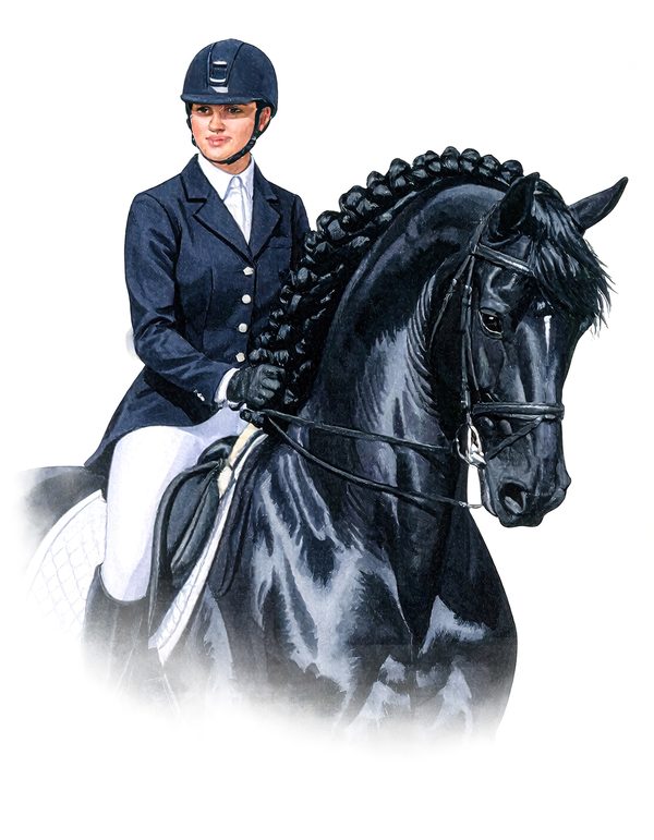 11 Watercolor Dressage Clipart: Equestrian Art Illustration (Digital Download, Commercial Use) — image 1