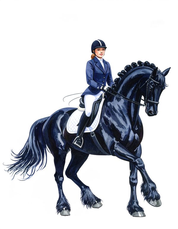 11 Watercolor Dressage Clipart: Equestrian Art Illustration (Digital Download, Commercial Use) — image 3