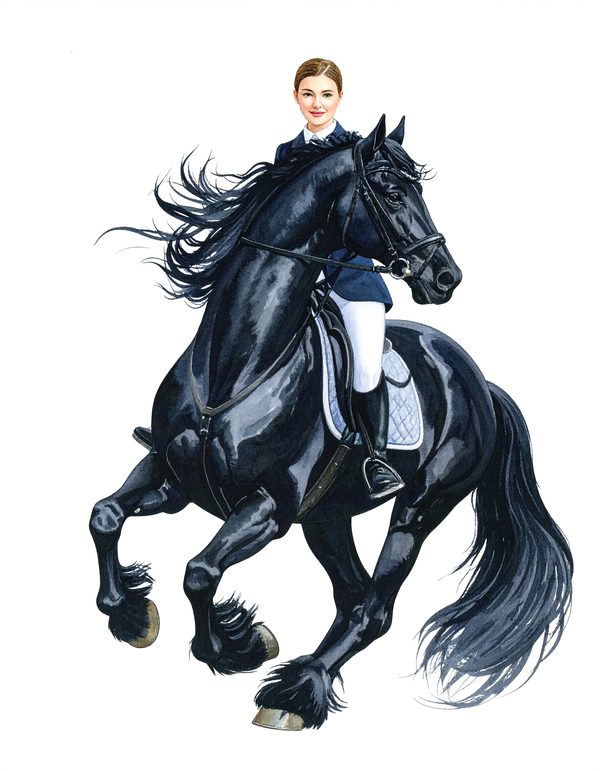 11 Watercolor Dressage Clipart: Equestrian Art Illustration (Digital Download, Commercial Use) — image 4