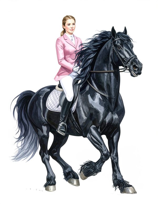 11 Watercolor Dressage Clipart: Equestrian Art Illustration (Digital Download, Commercial Use) — image 5