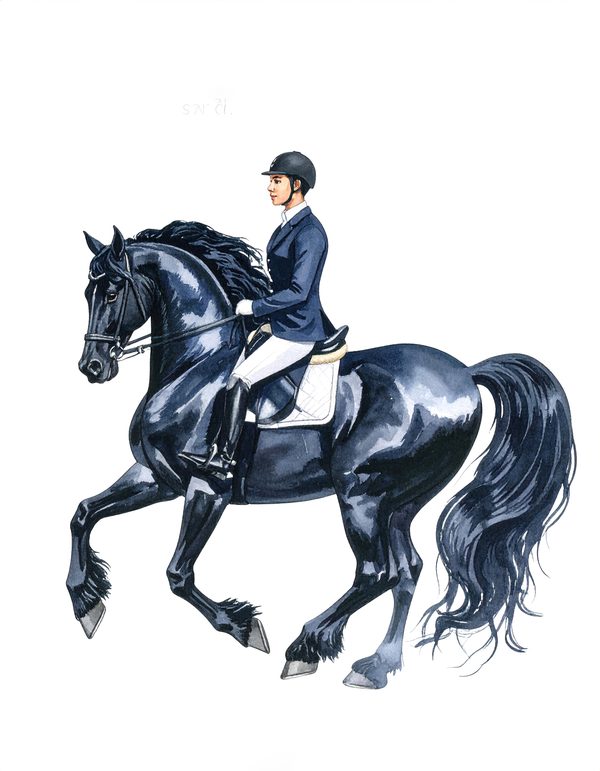 11 Watercolor Dressage Clipart: Equestrian Art Illustration (Digital Download, Commercial Use) — image 7