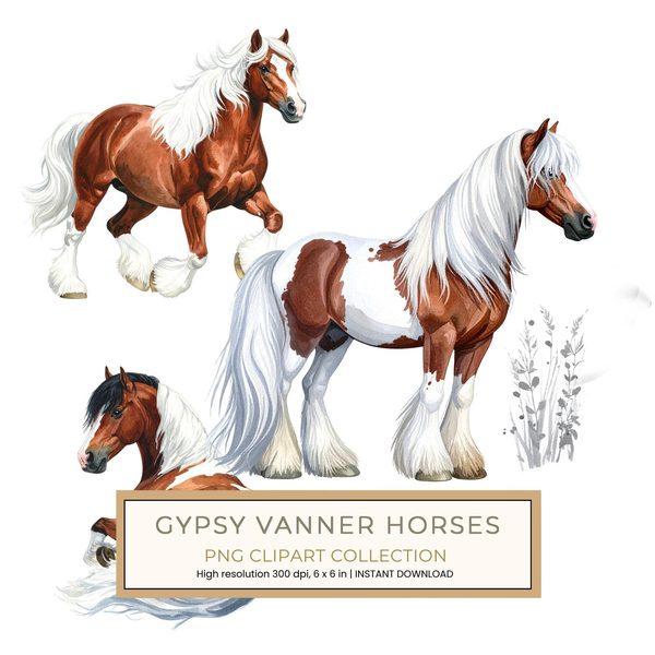 18 Gypsy Vanner Horse Clipart - Watercolor Horse PNG (Digital Download, Commercial Use)