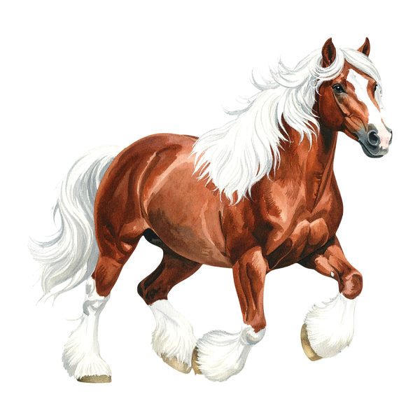 18 Gypsy Vanner Horse Clipart - Watercolor Horse PNG (Digital Download, Commercial Use) — image 1