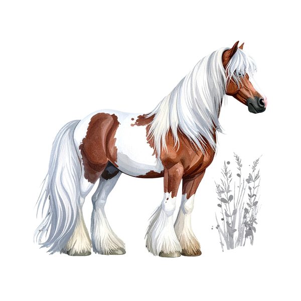 18 Gypsy Vanner Horse Clipart - Watercolor Horse PNG (Digital Download, Commercial Use) — image 3