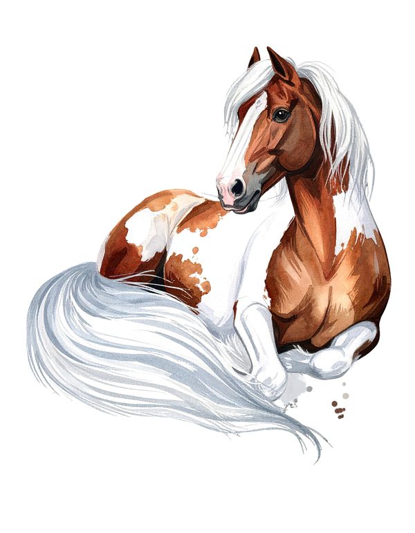 18 Gypsy Vanner Horse Clipart - Watercolor Horse PNG (Digital Download, Commercial Use) — image 4