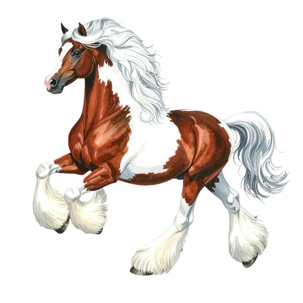 18 Gypsy Vanner Horse Clipart - Watercolor Horse PNG (Digital Download, Commercial Use) — image 7
