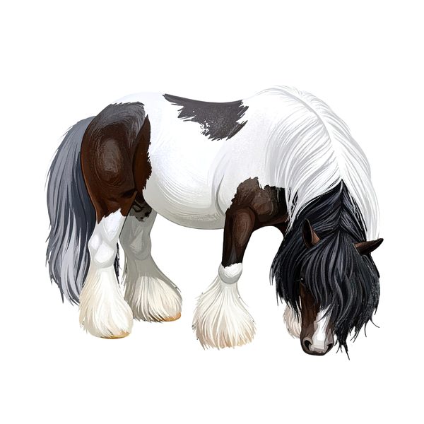 18 Gypsy Vanner Horse Clipart - Watercolor Horse PNG (Digital Download, Commercial Use) — image 9