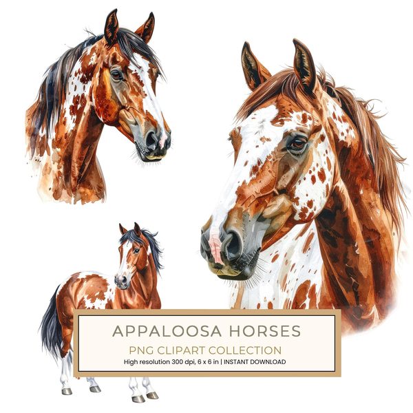 13 Appaloosa Spotted Horse Clipart - Watercolor Horse PNG (Digital Download, Commercial Use)