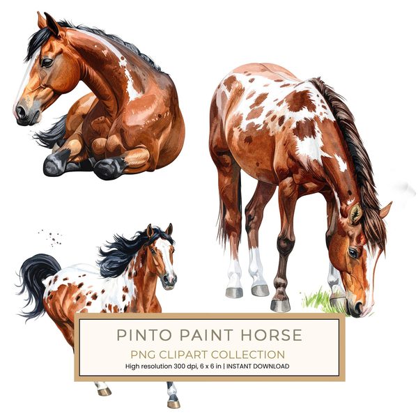 13 Pinto Paint Horse Clipart - Watercolor Horse PNG (Digital Download, Commercial Use)