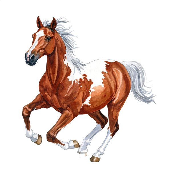 13 Pinto Paint Horse Clipart - Watercolor Horse PNG (Digital Download, Commercial Use) — image 8