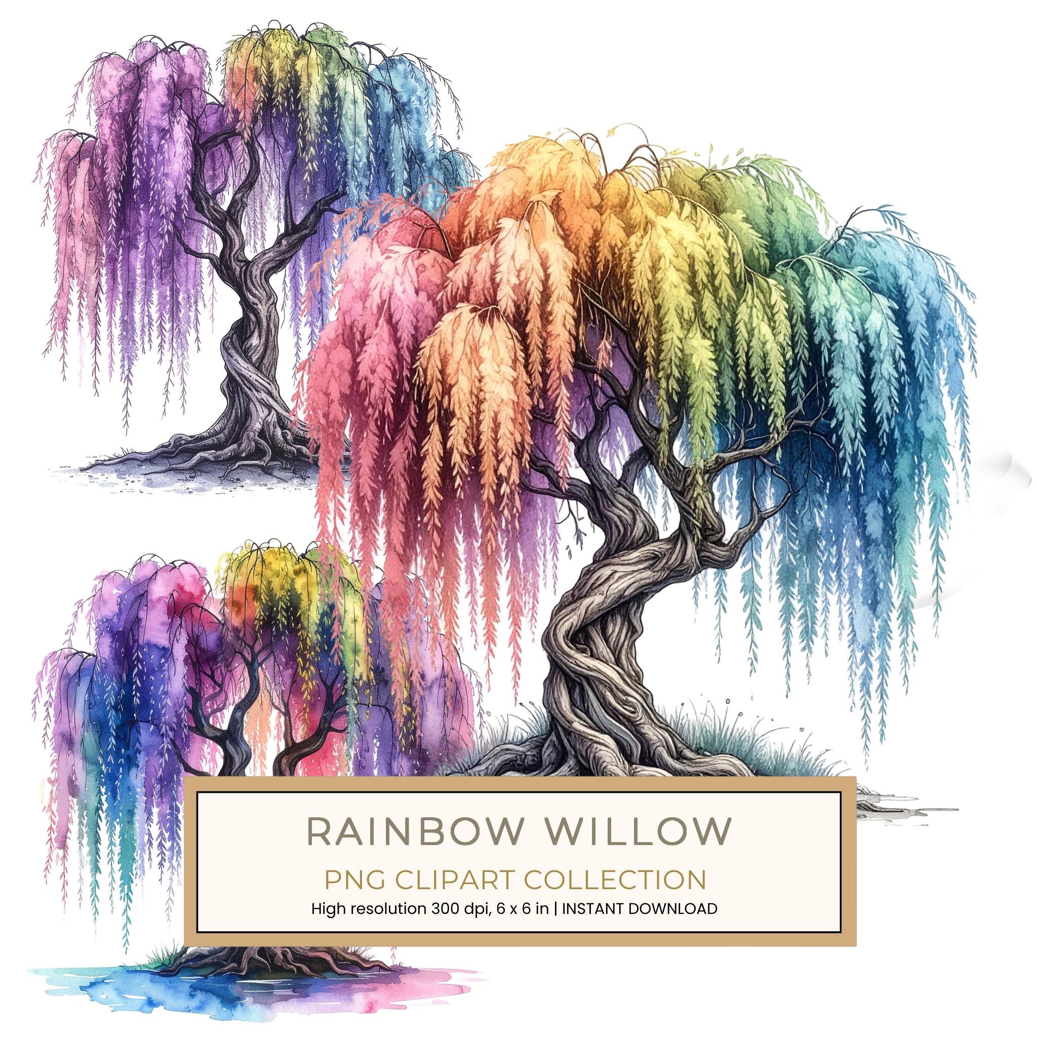 12 Rainbow Willow Tree of Life Clipart PNG - Watercolor Style (Digital Download, Commercial Use)