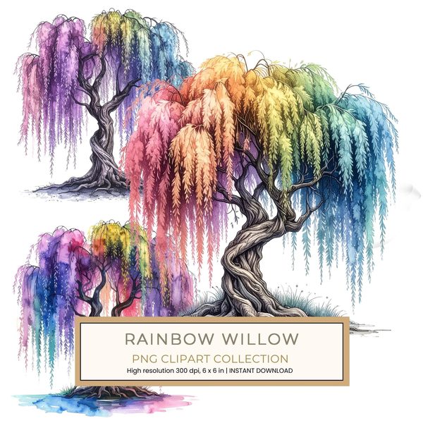 12 Rainbow Willow Tree of Life Clipart PNG - Watercolor Style (Digital Download, Commercial Use)