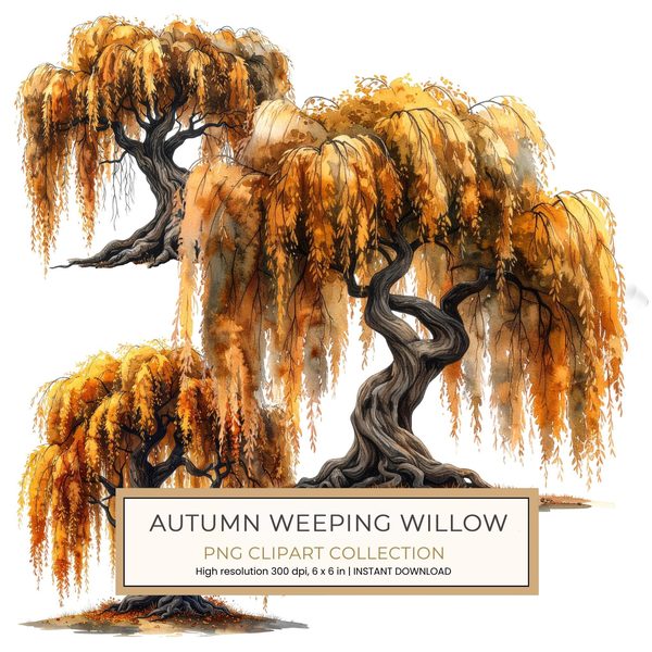 11 Autumn Willow Tree of Life Clipart PNG - Watercolor Style (Digital Download, Commercial Use)