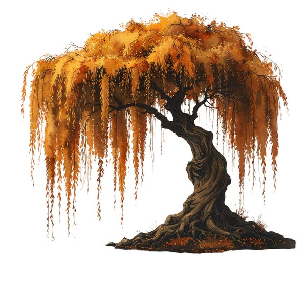 11 Autumn Willow Tree of Life Clipart PNG - Watercolor Style (Digital Download, Commercial Use) — image 4