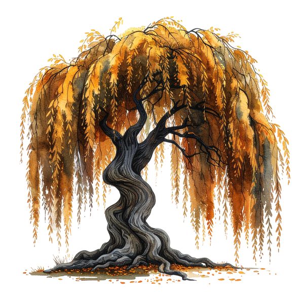 11 Autumn Willow Tree of Life Clipart PNG - Watercolor Style (Digital Download, Commercial Use) — image 10