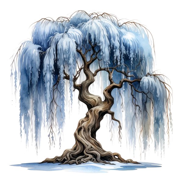 11 Blue Weeping Willow Tree Clipart – Watercolor Style, Commercial Use (Digital Download) — image 2