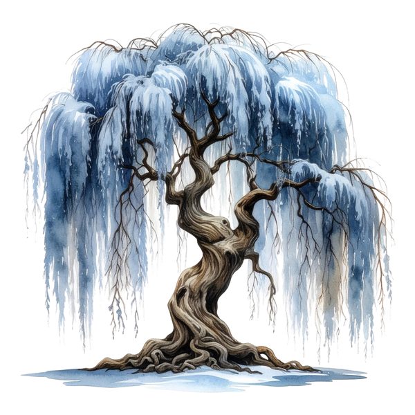 11 Blue Weeping Willow Tree Clipart – Watercolor Style, Commercial Use (Digital Download) — image 3