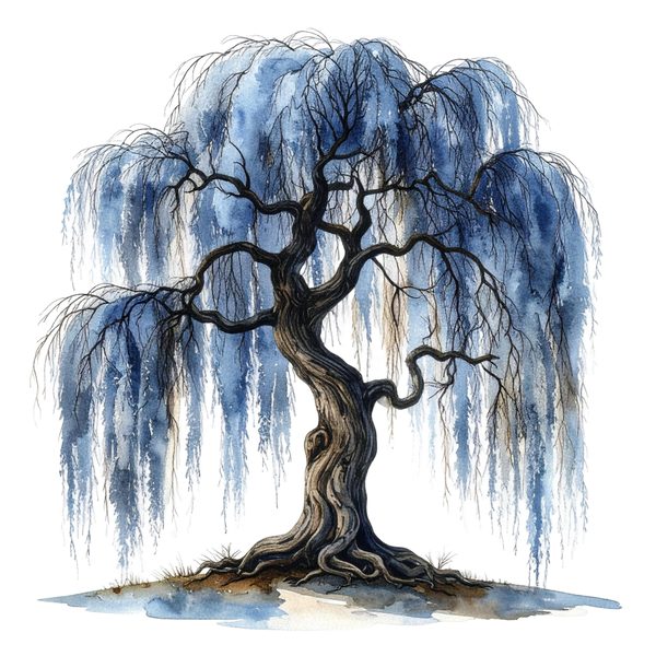 11 Blue Weeping Willow Tree Clipart – Watercolor Style, Commercial Use (Digital Download) — image 4