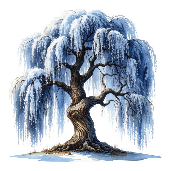 11 Blue Weeping Willow Tree Clipart – Watercolor Style, Commercial Use (Digital Download) — image 5
