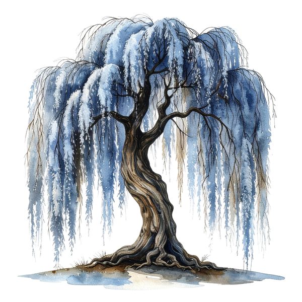 11 Blue Weeping Willow Tree Clipart – Watercolor Style, Commercial Use (Digital Download) — image 6