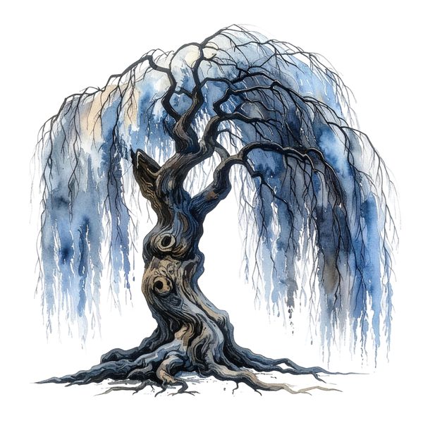 11 Blue Weeping Willow Tree Clipart – Watercolor Style, Commercial Use (Digital Download) — image 9