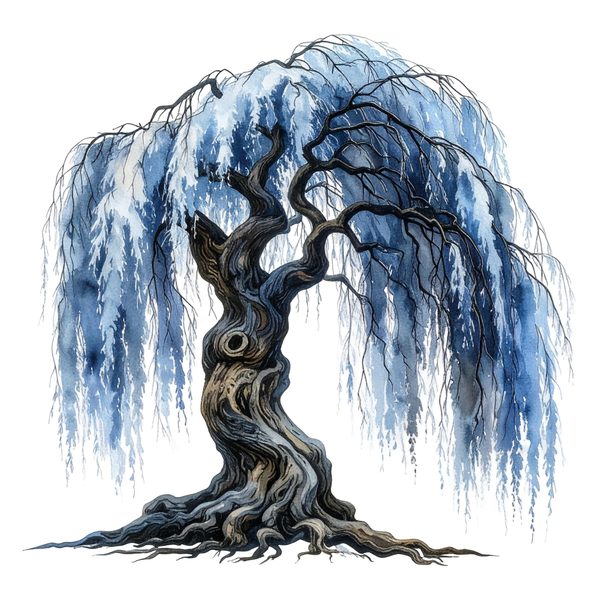11 Blue Weeping Willow Tree Clipart – Watercolor Style, Commercial Use (Digital Download) — image 10