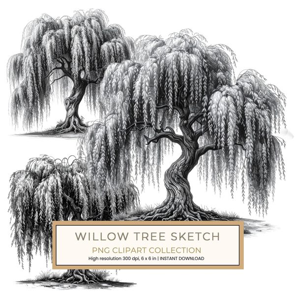 12 Weeping Willow Tree of Life Clipart – Watercolor Sketch Line Art (Digital Download)