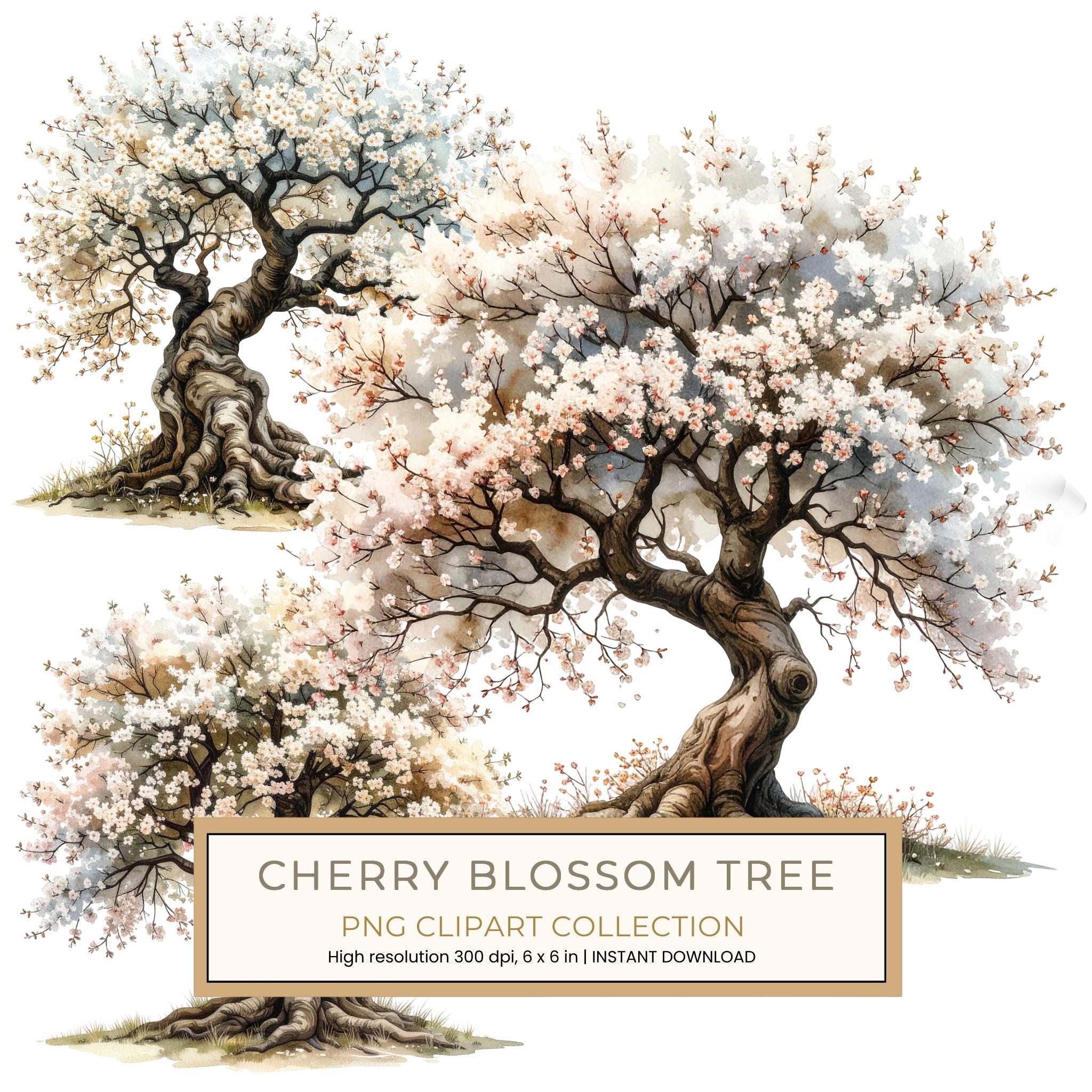 12 Cherry Blossom Tree of Life Clipart PNG - Watercolor Style (Digital Download, Commercial Use)