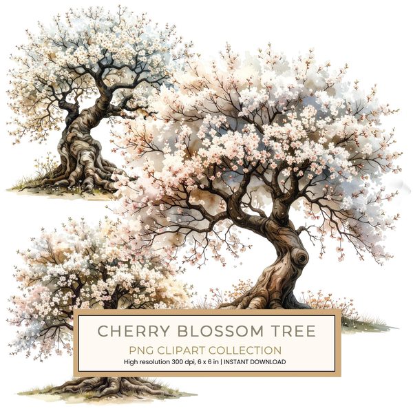 12 Cherry Blossom Tree of Life Clipart PNG - Watercolor Style (Digital Download, Commercial Use)