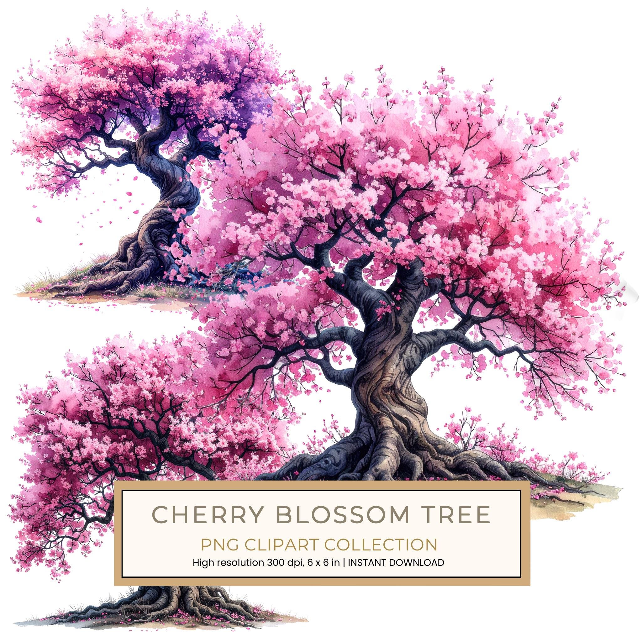 12 Cherry Blossom Tree of Life Clipart PNG - Watercolor Style (Digital Download - Commercial Use)
