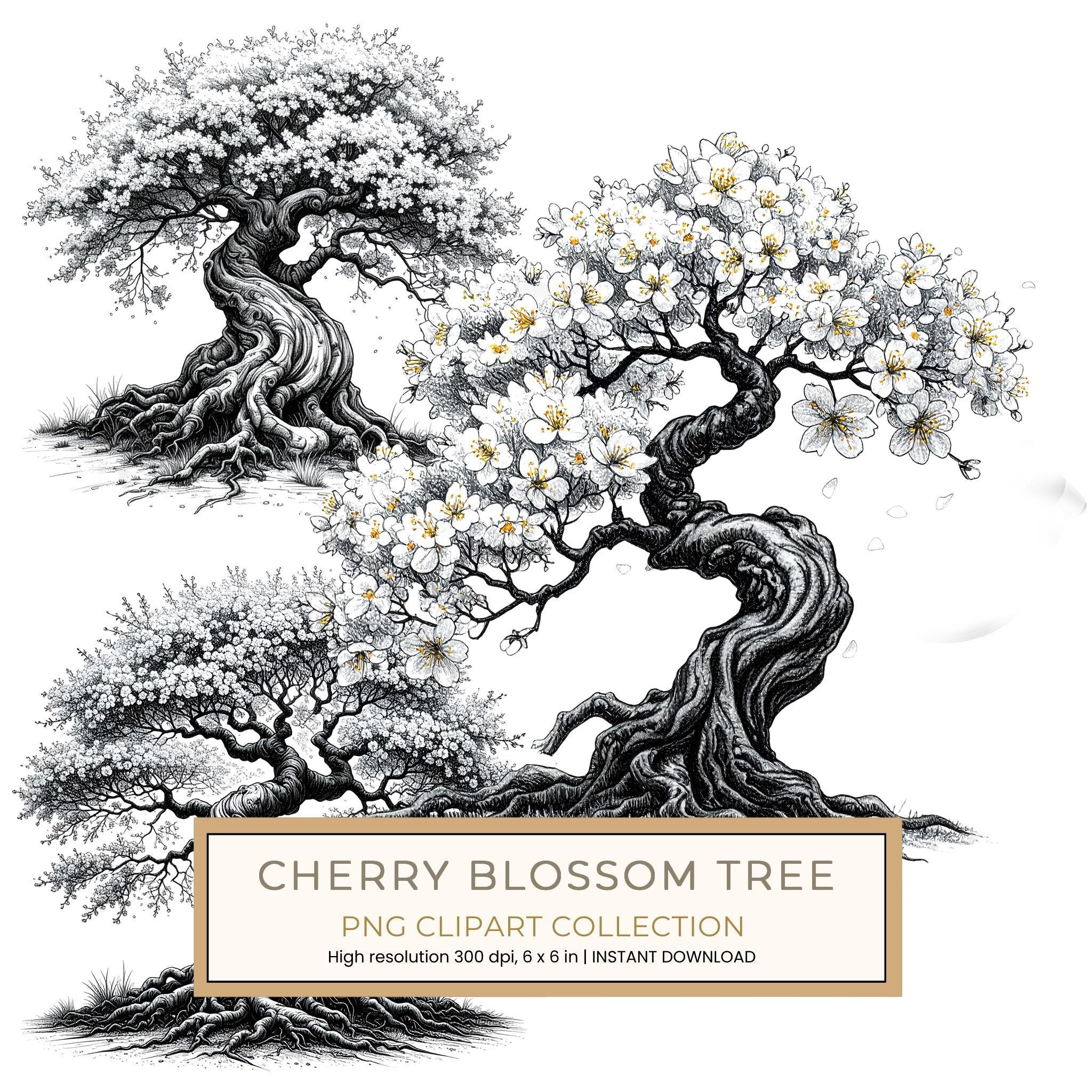 12 Cherry Blossom Tree of Life Clipart PNG - Sketch Style (Digital Download - Commercial Use)