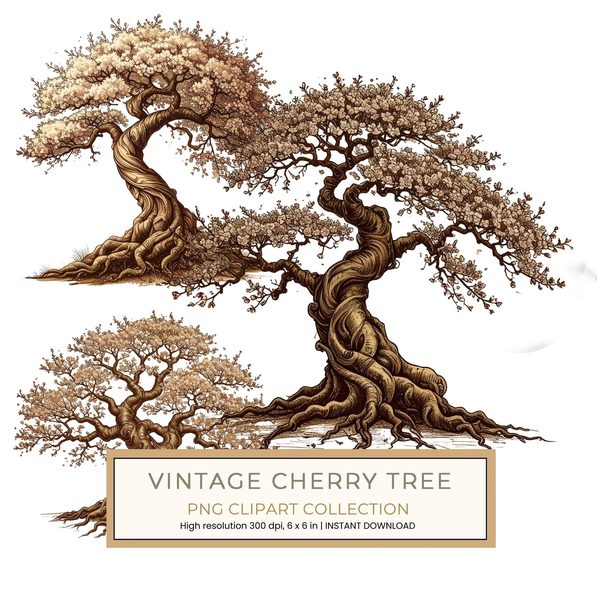 12 Cherry Blossom Tree of Life Clipart PNG - Vintage Style (Digital Download - Commercial Use)